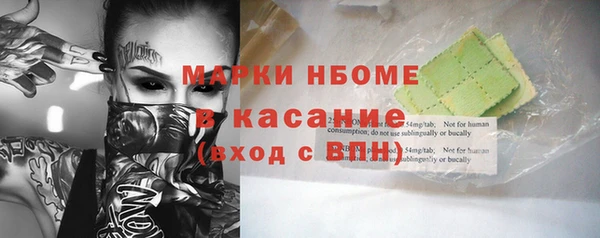 шишки Белокуриха