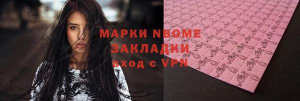 шишки Белокуриха