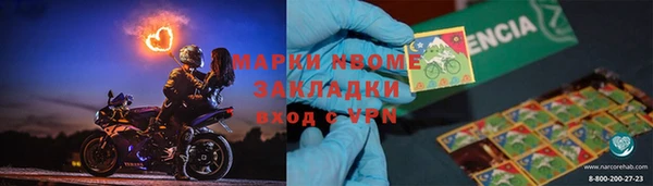 шишки Белокуриха