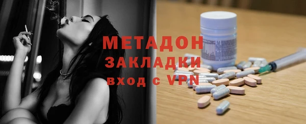 шишки Белокуриха