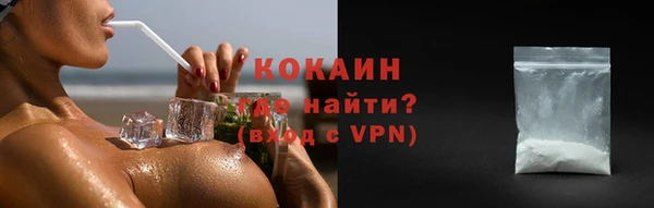 шишки Белокуриха