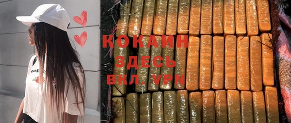 шишки Белокуриха