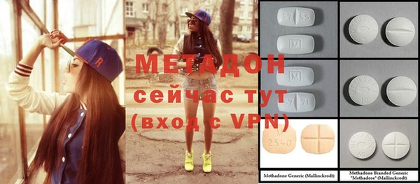 шишки Белокуриха