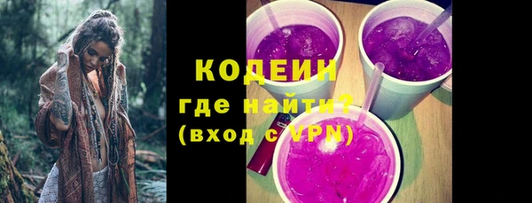 шишки Белокуриха